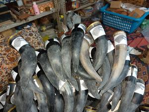 Cuerno de vaca sin pintar, producto decorativo, indio - Product Image 2