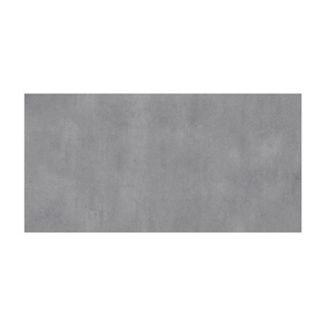 Azulejos de porcelana no pulida gris moderna para paredes interiores 60x120cm Tamaños Equiv. 24 \ "x48 \" - Product Image 1