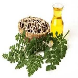 Natural Plant Moringa Oil Extract From Moringa Seeds