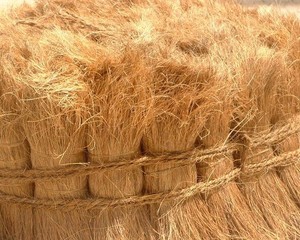 El mejor precio COIR FIBRA DE COCO de Vietnam 2022 - Product Image 4