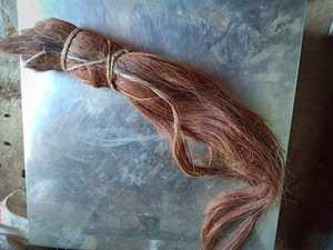 Pelo de cola de caballo de alta calidad para hacer cepillos de tela con temática de animales con estilo Estándar de exportación superior - Product Image 5