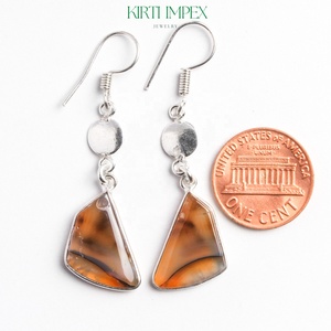 Hot Selling Banded Onyx Fish <b>Hook</b> <b>Earrings</b> Trendy Gold Plated Alloy Jewelry in Assorted Colours for Girls - Product Image 5