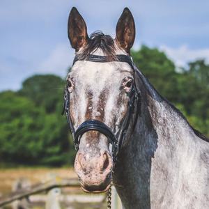 Lo más seguro es que no hay nada que poner, se incluyen. - Product Image 1