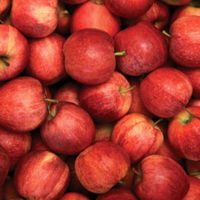Zoete Knapperige Zoete Verse Biologische Premium Rode Royal Gala Appels 8,5kg Zuid-Afrika Groothandel