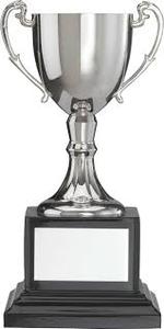 Escudo de trofeo de plata de Metal para Grillo y otros deportes, ideal para función Social y competición, precio al por mayor - Product Image 5