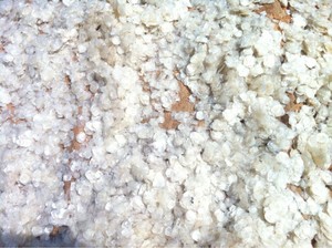 2021ปลาแห้งขนาด/ปลานิลสำหรับคอลลาเจน /Ms. เทรซี่ + 84 904 183 651 - Product Image 2