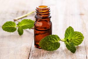 Aceite Esencial de Menta de Maíz 100% Puro de Grado Cosmético, Certificado GMP, Destilado al Vapor, para Limpiar la Piel, India, 1L - Product Image 6