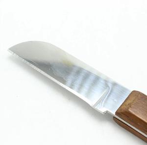Cuchillo de laboratorio Dental con mango de madera, Instrumentos dentales de alta calidad - Product Image 4