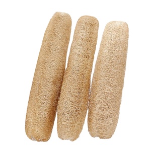 RAW NATURAL LOOFAH/ WHOLE LUFFA WITH MANY SIZES NO BLEACH, HARD AND CHUBBY FOR KOREAN MARKET CHEAPEST PRICE IN VIETNAM