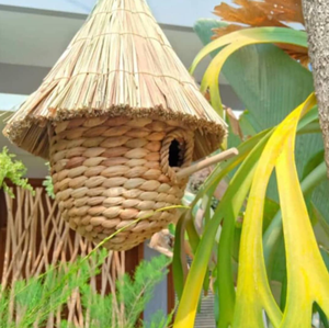 Cage à oiseaux naturelle en herbe écologique, magnifique, de style antique, avec cadre en bois, Propinsi Jawa Tengah, pour usage intérieur/extérieur - Product Image 3