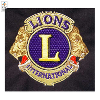 Écusson brodé en feutre 3D personnalisé avec logo de club civil OEM LI, écussons de services aux scouts, nous servons