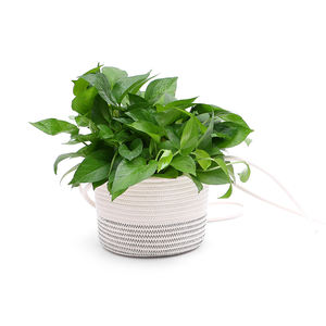 卸売りランドリー手作りカラフルコットンロープ植物バスケットランドリー収納バスケット家庭用収納組織 - Product Image 6