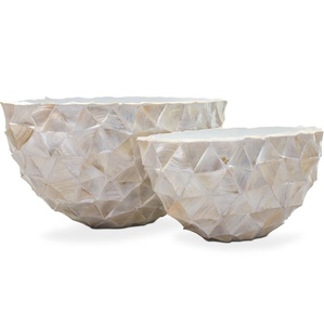 Vase à fleurs en nacre pour forme de bol et dessus de table blanc, articles décoratifs et de petite taille avec vente - Product Image 1