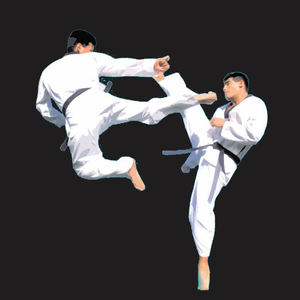 Uniformes profesionales de Karate/artes marciales hechos a medida para hombres y mujeres - Product Image 1