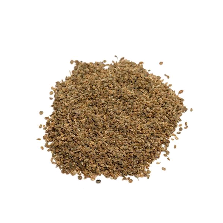 Latest Crop 100% Natural Wholesale Celery Seeds from Indian Supplier wholesale best Price