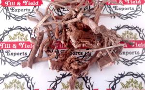 Kapas Jad - Gossypium Arboreum Root - Product Image 4