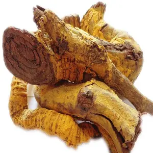 Sarpagandha - Rauwfolia Serpentina Root & Powder อาจช่วยปรับปรุงระดับน้ำตาลในเลือดให้มีคุณสมบัติป้องกันอาการท้องร่วง