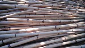 Canne en rotin souple, matériau DURABLE pour l'extérieur - Product Image 3