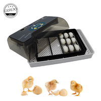 Incubateur d'oeufs industriels à couver 12 oeufs de poule incubateur d'oeufs de petite taille