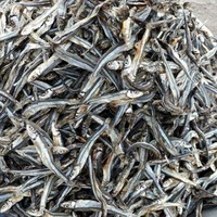 Sprats Séchés au Soleil / Anchois Séchés du Vietnam à Bon Prix // Sven + 84 966722357