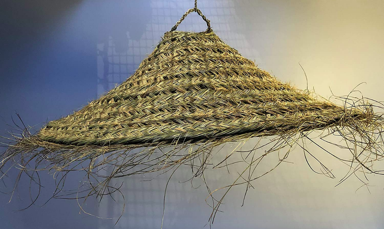 หญ้าทะเลธรรมชาติ