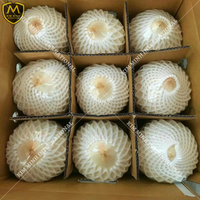 Boisson tropicale à haute teneur en noix de coco, original du VIETNAM avec certificat ISO, STYLE d'emballage, WHATSAPP 0084 981 144, 196