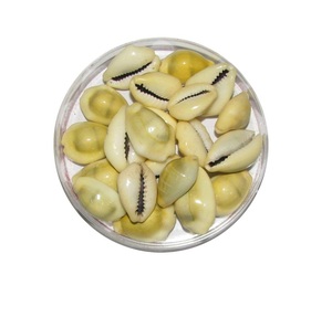 Conchas de CROWIE KAUDI, color amarillo NATURAL - Product Image 3