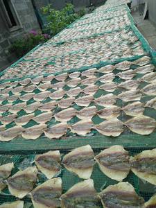 Pescado amarillo deshidratado, TOP 2021, Scad/MR.ShinCA (+ 84) 378398089 - Product Image 3