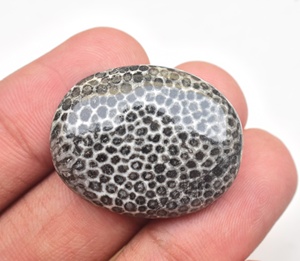 หินฟอสซิลหินกระเบน Cabochon,หินฟอสซิลสีดำ Cabochon - Product Image 3