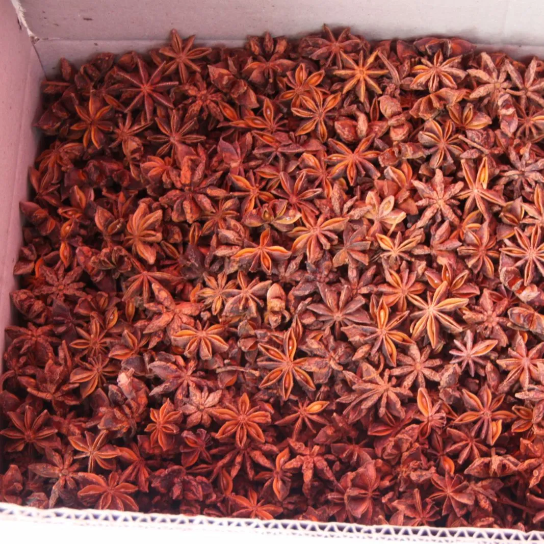 FORNECIMENTO 100% NATURAL ANISE SECO STAR COM PREÇO COMPETITIVO