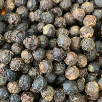 Hoge Kwaliteit Bulk Groothandel Rauwe Gedroogde Zwarte Peper Vietnam 5Mm Gedurfde Pittige Kruidige Kruiden Hete Chili Peper Topkwaliteit Beste Prijs
