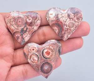 100% naturel oiseau Eye Jasper Chaleur Forme Pierres Précieuses/nouveau Poppy Jasper Lâche Pierres Précieuses Cabochon - Product Image 1