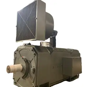 Electric Motor 1600kw