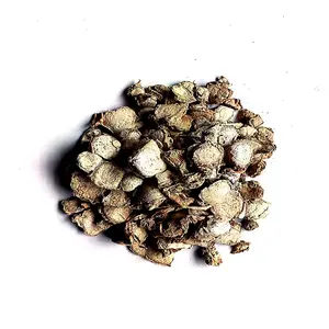 Kapoor Kachri Chất Lượng Tốt Nhất-Hedychium Spicatum Kapoor Kachri Rất Hữu Ích Cho Việc Chăm Sóc Tóc Của Bạn