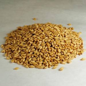Best Quality Grade Malt and Feed Barley <b>Grains</b> Low Price Pearl Barley for Animal Feed Dried Use - Product Image 1
