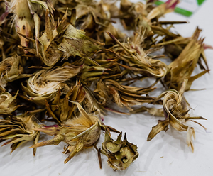 Meilleur prix séché et frais Fleur d'artichaut du Vietnam pour les boissons-Type de stockage congelé - Product Image 4