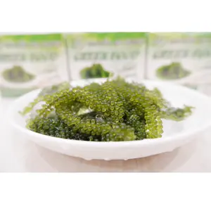GCAPVNブランドグリーンフード乾燥味付け海藻海藻ベトナムから200グラム