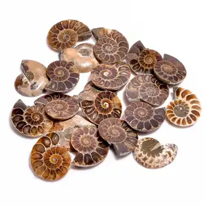 หินแฮนด์เมดผิวเรียบ Cabochons,Ammonite Pair สีน้ำตาล