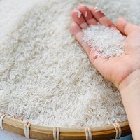 Riz Jasmin Long Grain de Qualité Alimentaire Supérieure, Séché, Texture Moelleuse, 5kg 10kg 18kg 20kg