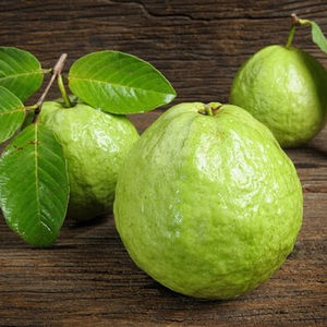 Extrait de goyave/goyave rose frais standard d'exportation de l'UE - Product Image 4