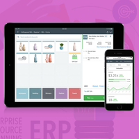 CRM ve ERP çevrimiçi çözümler | ERP yazılım geliştirme küçük işletmeler için | Offshore CRM yazılım çözümleri ile Webroot Infosoft