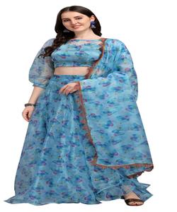 Occasion spéciale colorée brodée travail manuel Lehenga Choli avec chemisier vêtements traditionnels personnalisés en gros Alphanumero - Product Image 6