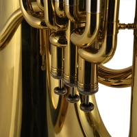 Gold Brass Tuning Pipe and Tuba Eb Key