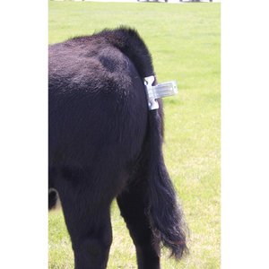 High Quality NVC Galvanized Veterinary Instrument Tail <b>Clamp</b> Model 1-190-49 for Cattle (PK) - Product Image 2