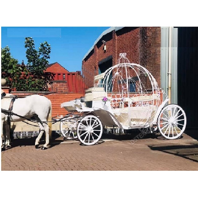 ロイヤルクイーン馬車シンデレラ風馬車購入馬車式ヴィスアヴィス馬車
