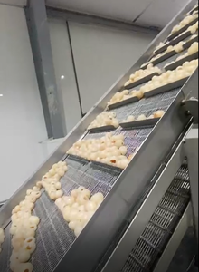 High Quality Organic <b>Frozen</b> Lychee <b>Fruit</b> From Vietnam IQF Process Whole and Sliced Pattern Sweet Taste Bulk Packed - Product Image 4