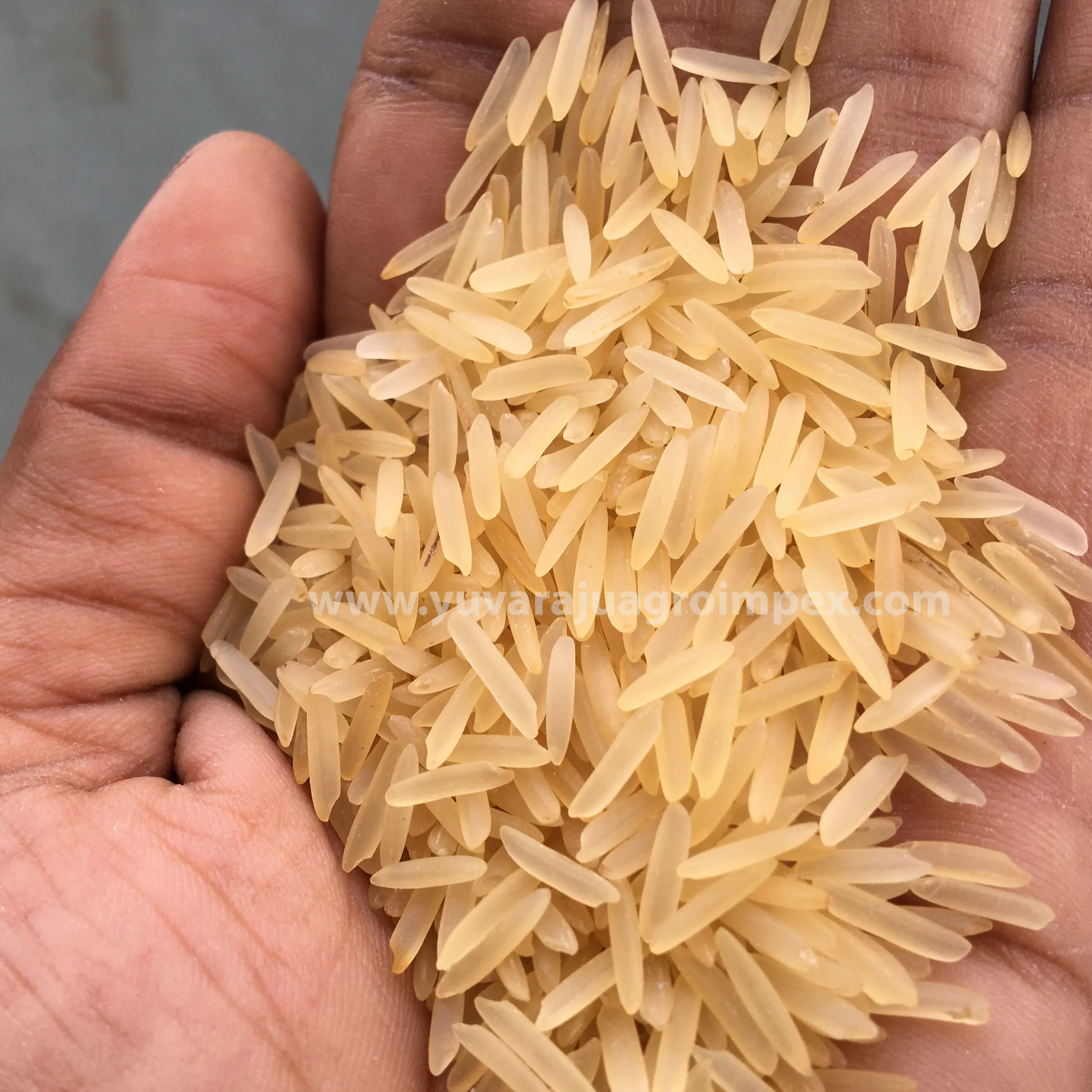 Лучшее качество, экспортеры риса басмати в Индии