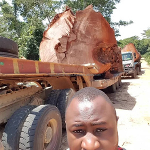 Todo Tipo de Madera, Troncos como Ekop, Naga, Zingana, Kosso, Cotali, Ilumba, Moabi, Teca, Okoume, Mukulugu, Agoungui, Pa Rosa, Bulinga - Product Image 4
