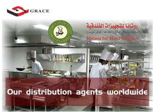 Grace ODM OEM Combinación <span class=keywords><strong>de</strong></span> gas <span class=keywords><strong>de</strong></span> acero inoxidable Conjunto completo Equipo <span class=keywords><strong>de</strong></span> cocina para restaurante comercial - Product Image 2