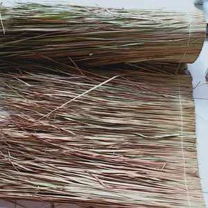 Kurutulmuş Seagrass palmiye yaprakları saz yaprak rulo çatı